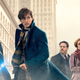 Fantastic Beasts and Where to Find Them, $12